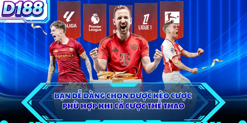 Bạn dễ dàng chọn được kèo cược phù hợp khi cá cược thể thao